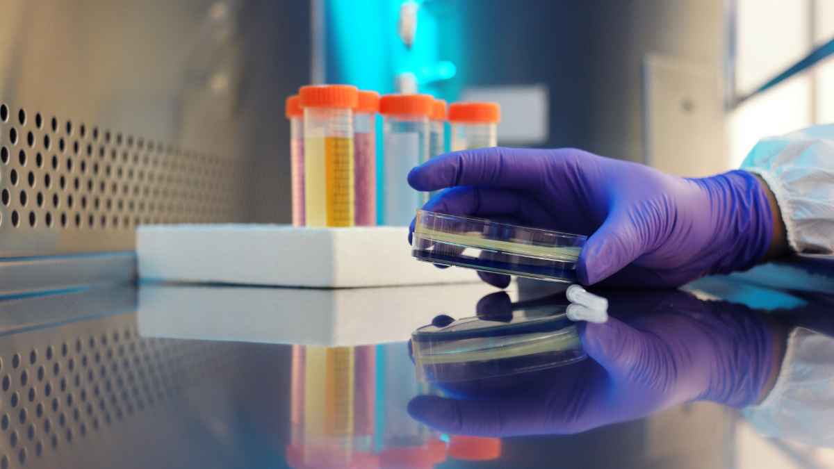 Kanazawa-University-research