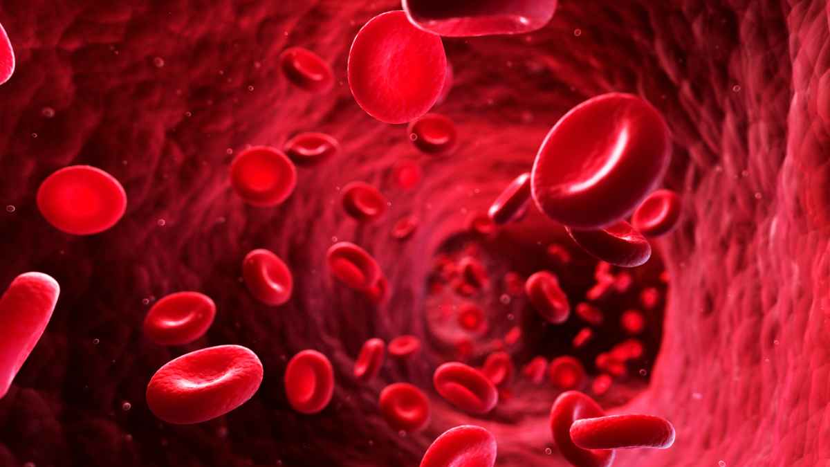 ImmunityBio Reports Median Overall Survival