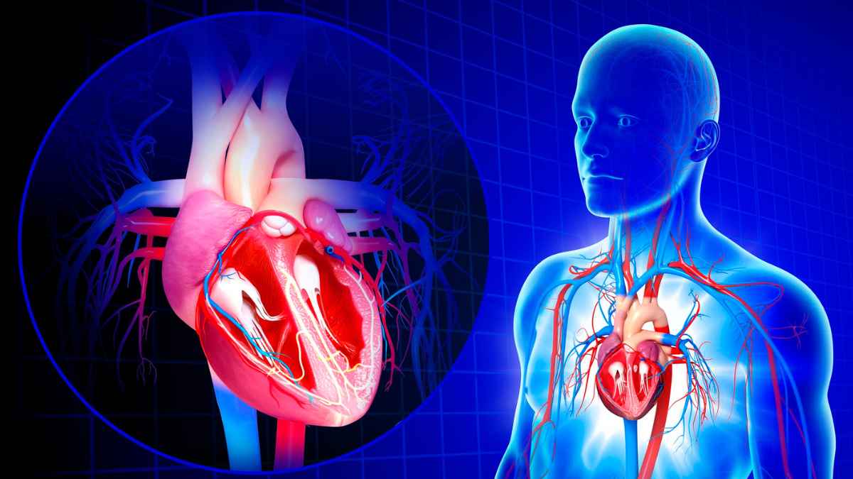 Berlin Heals funding