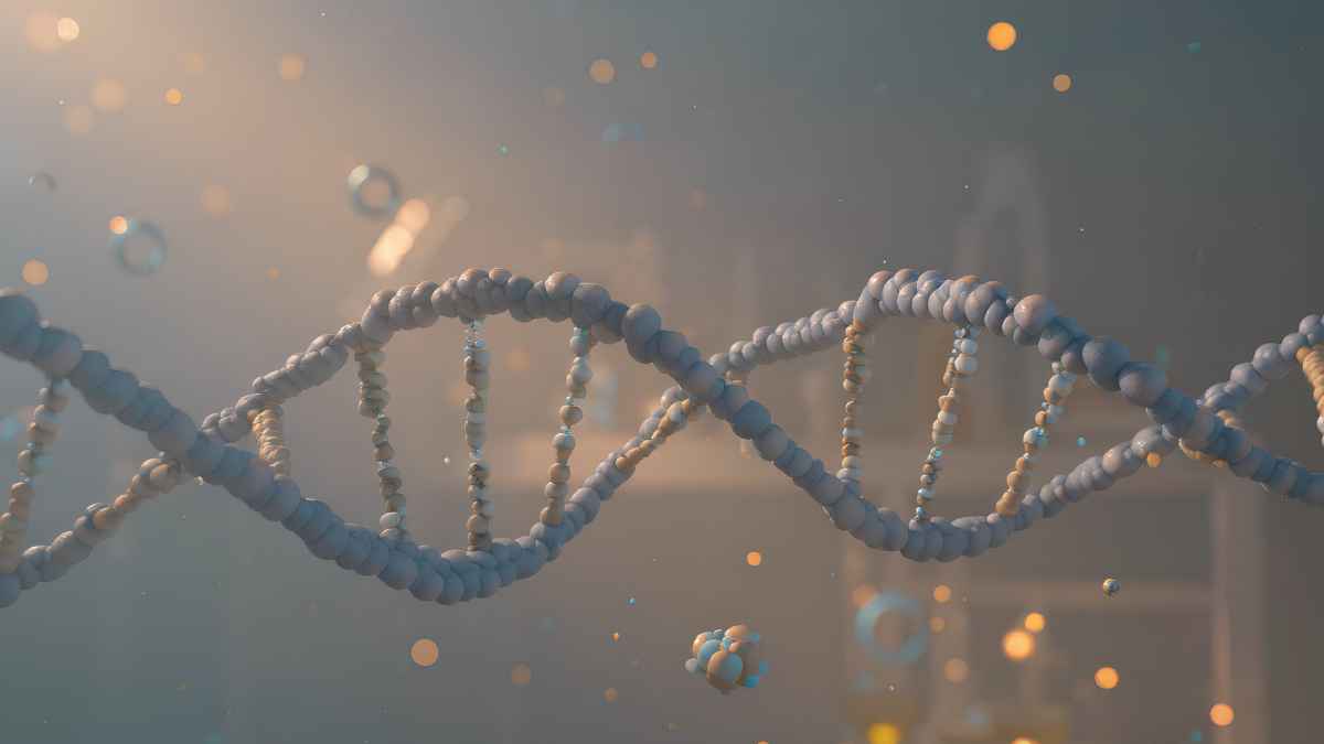 Open access agreement