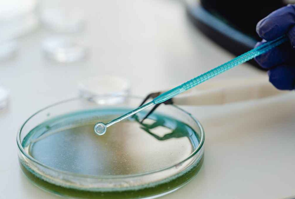 ImmunityBio SFDA engagement