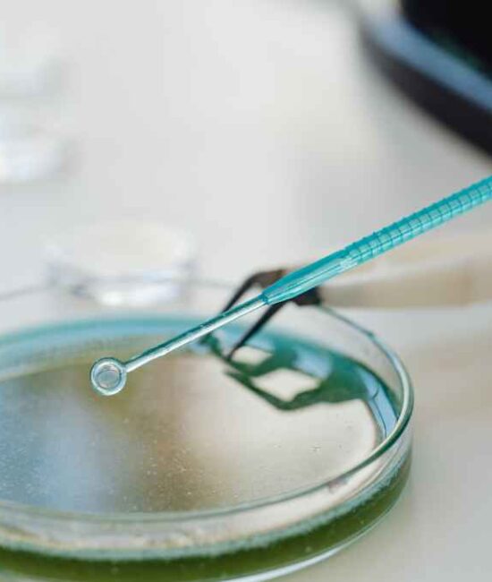 ImmunityBio SFDA engagement