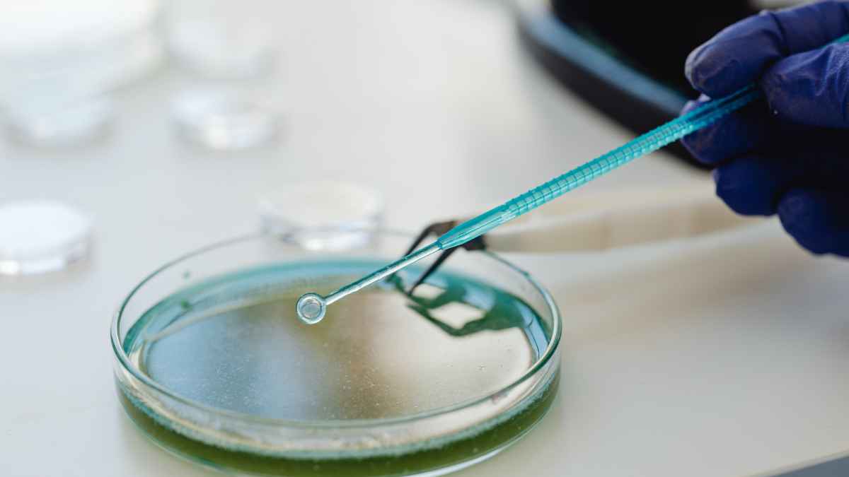 ImmunityBio SFDA engagement