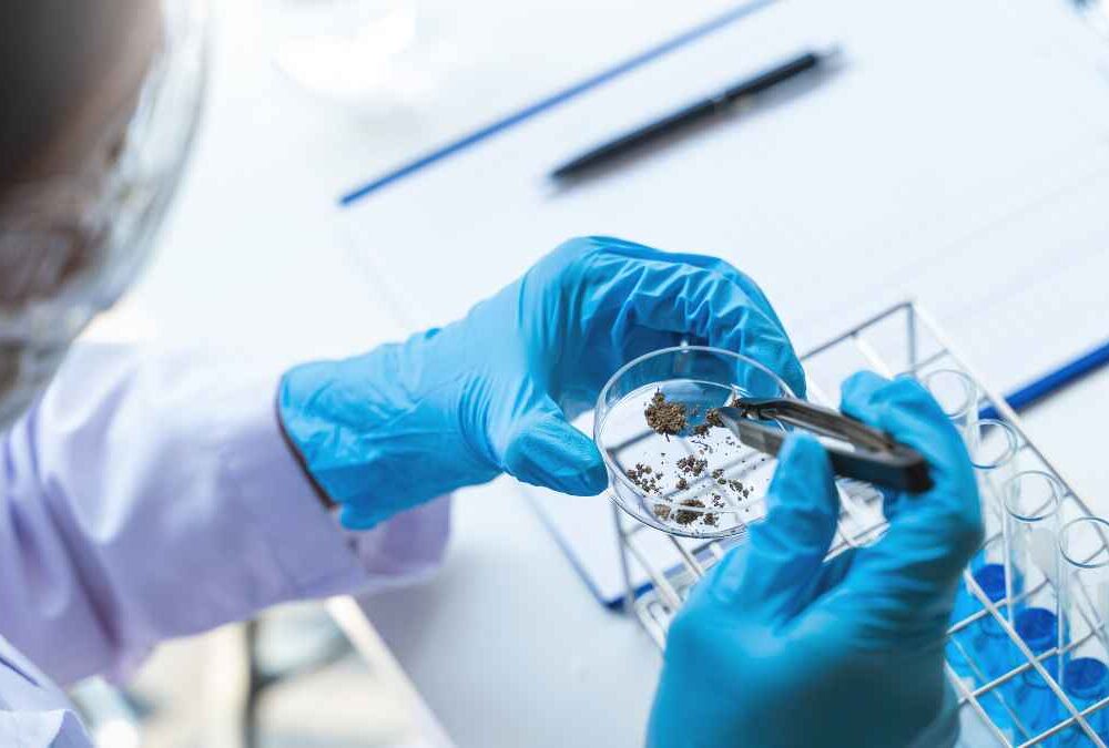 Sandy Voss appointment