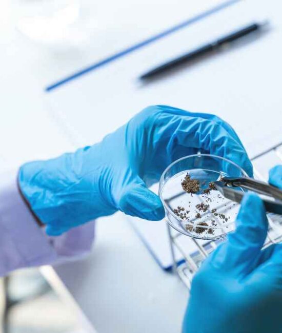 Sandy Voss appointment