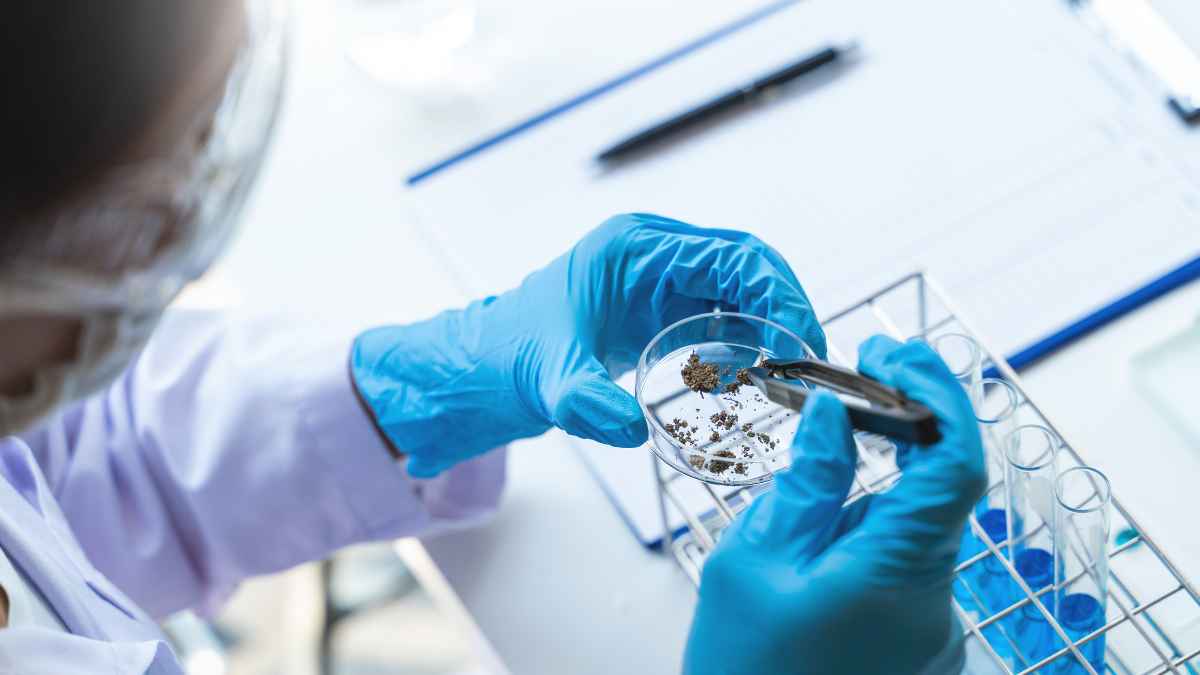 Sandy Voss appointment