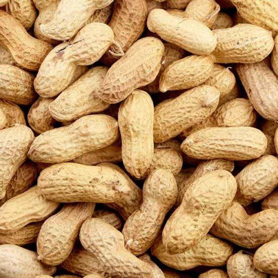 Future of allergy treatment