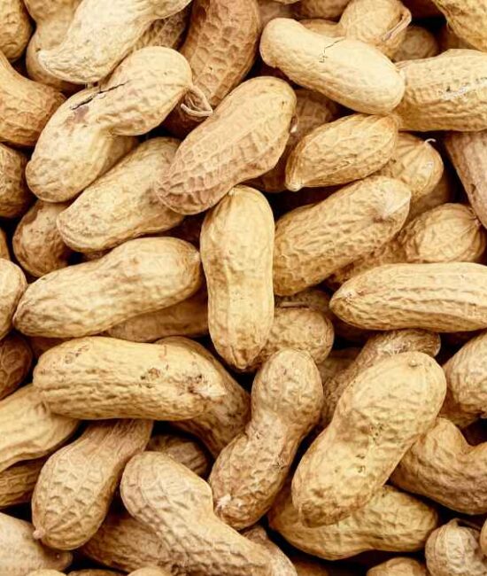 Future of allergy treatment