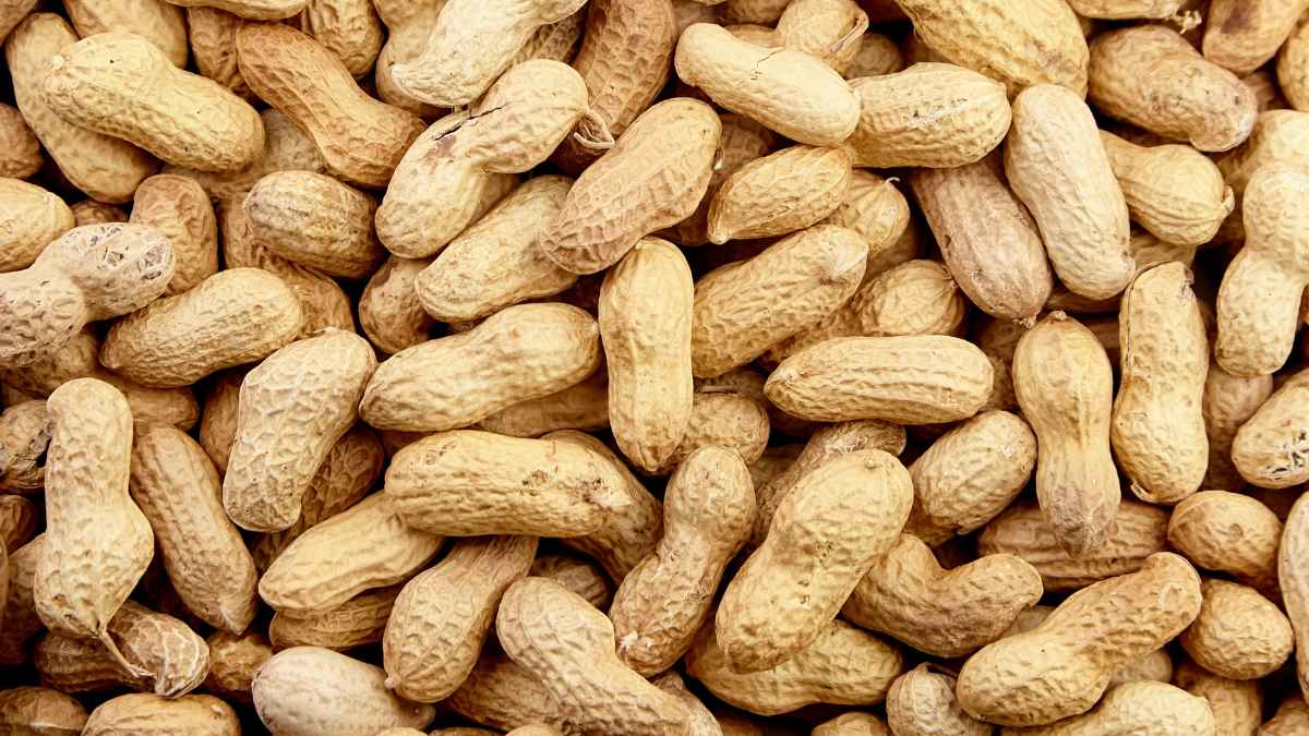 Future of allergy treatment