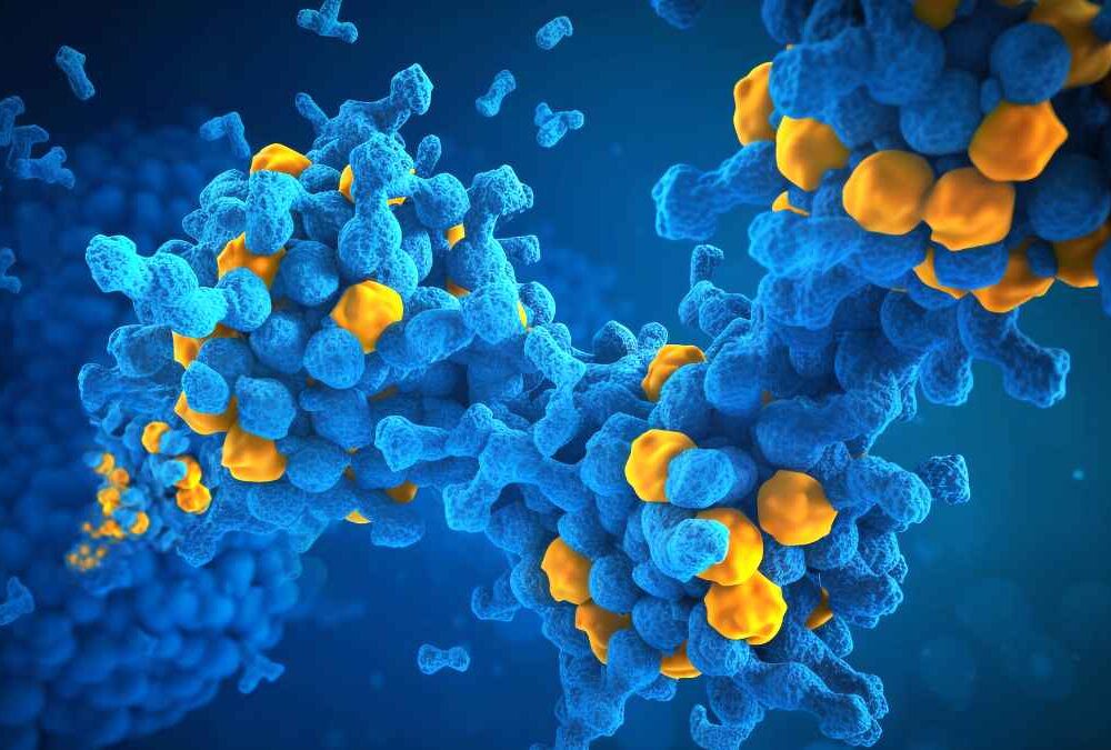 Zeon Chemify investment