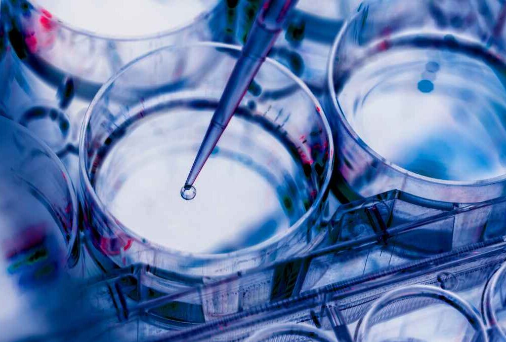 Zura Bio public offering