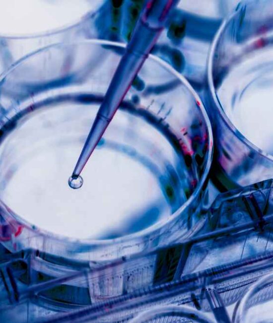 Zura Bio public offering