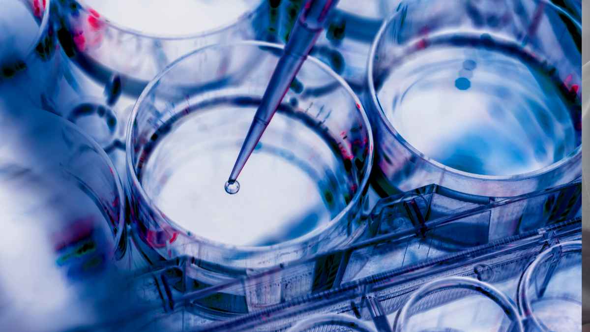 Zura Bio public offering