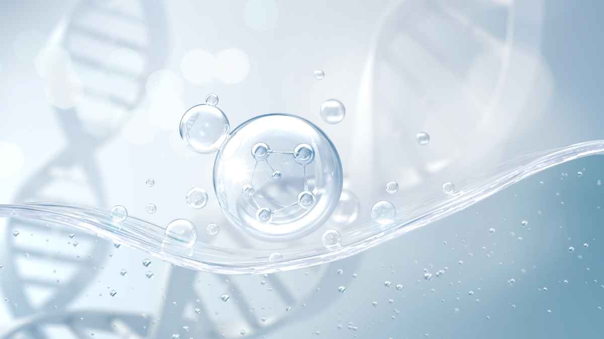 genO-hFcγR mouse model