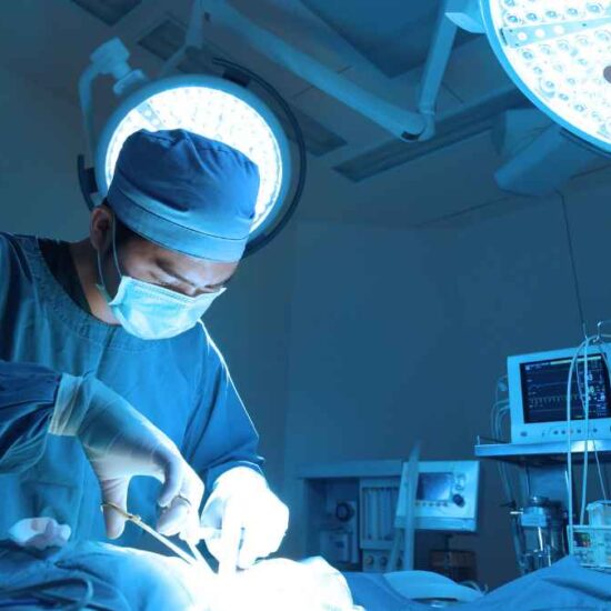 Allegheny Health Network's