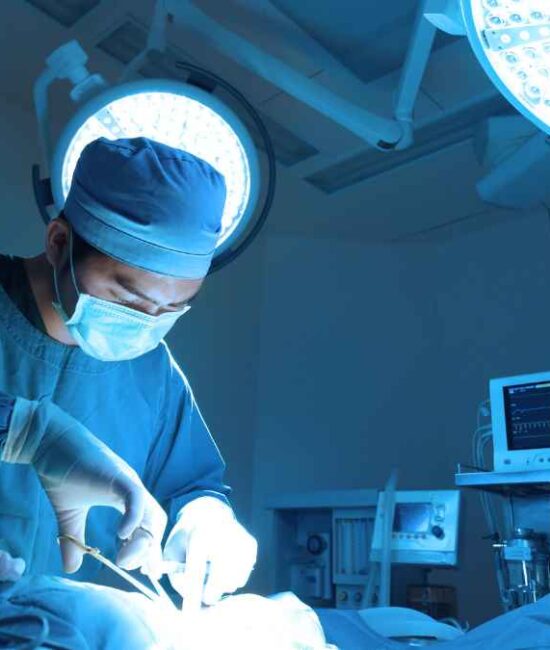 Allegheny Health Network's