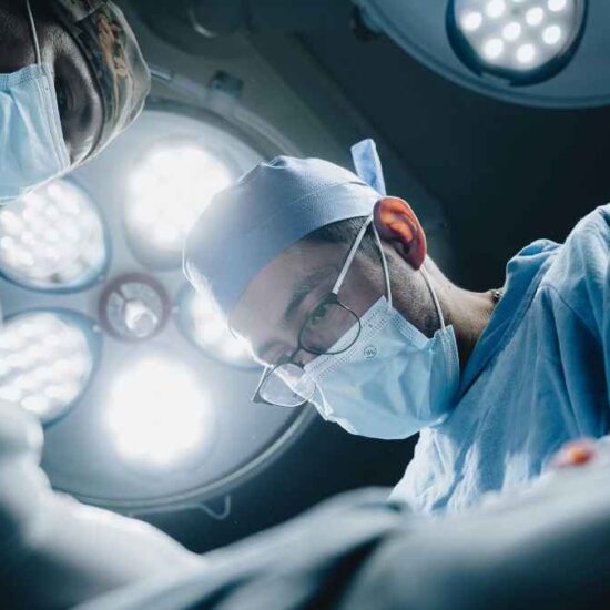 CATalyst Council’s Survey Shows 90% of Devoted