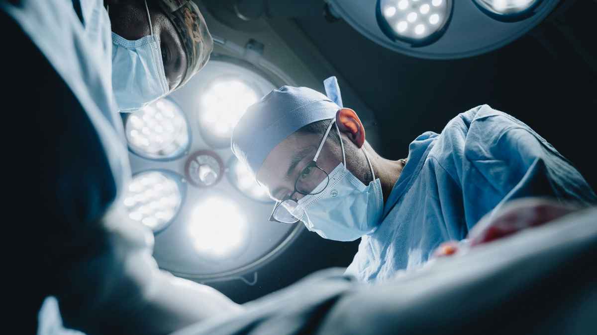 CATalyst Council’s Survey Shows 90% of Devoted