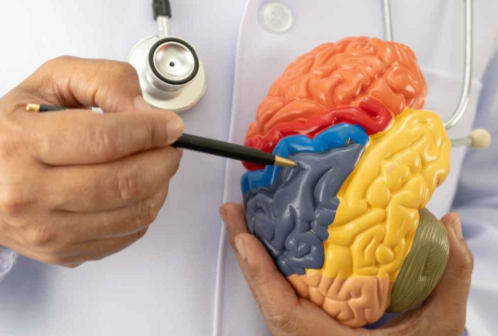 Servier Presentations at ISPNO 2026 Highlight Neuro-Oncology