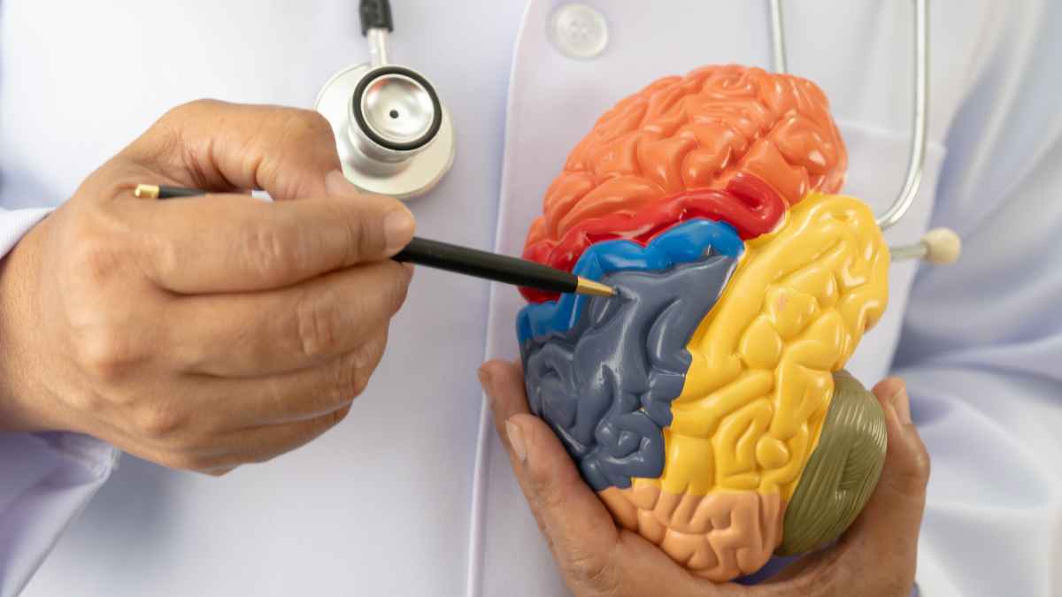 Trinity Capital Inc. Provides $35