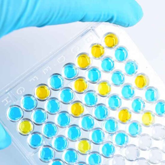 BNB Plus Corp. Completes Historic $1.2 Million