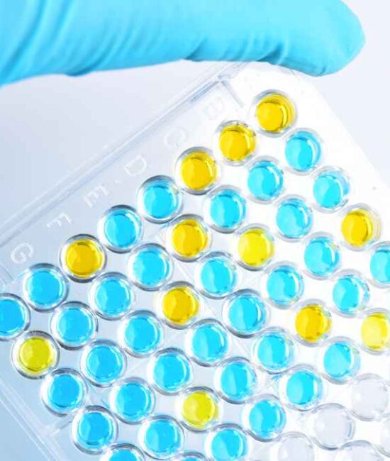 BNB Plus Corp. Completes Historic $1.2 Million