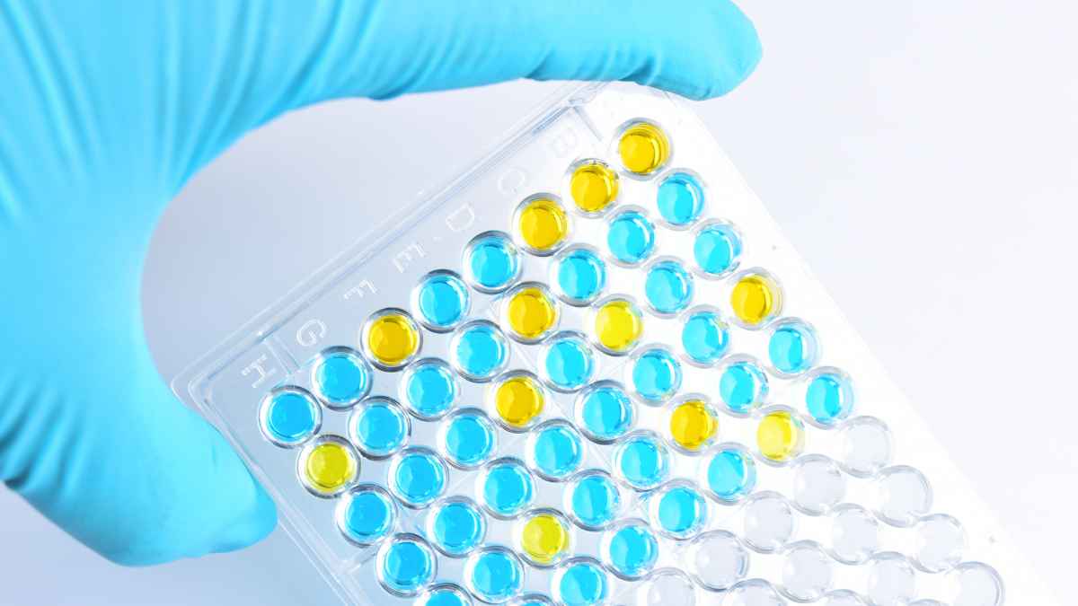 BNB Plus Corp. Completes Historic $1.2 Million