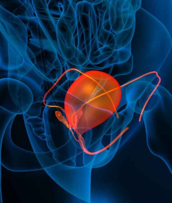 Verana Health Delivers Powerful Update to RWD Bladder Cancer