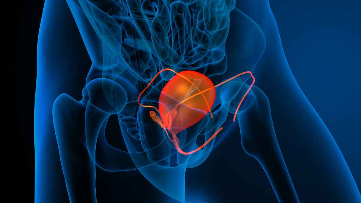 Verana Health Delivers Powerful Update to RWD Bladder Cancer