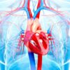 Caristo Diagnostics Selected by World