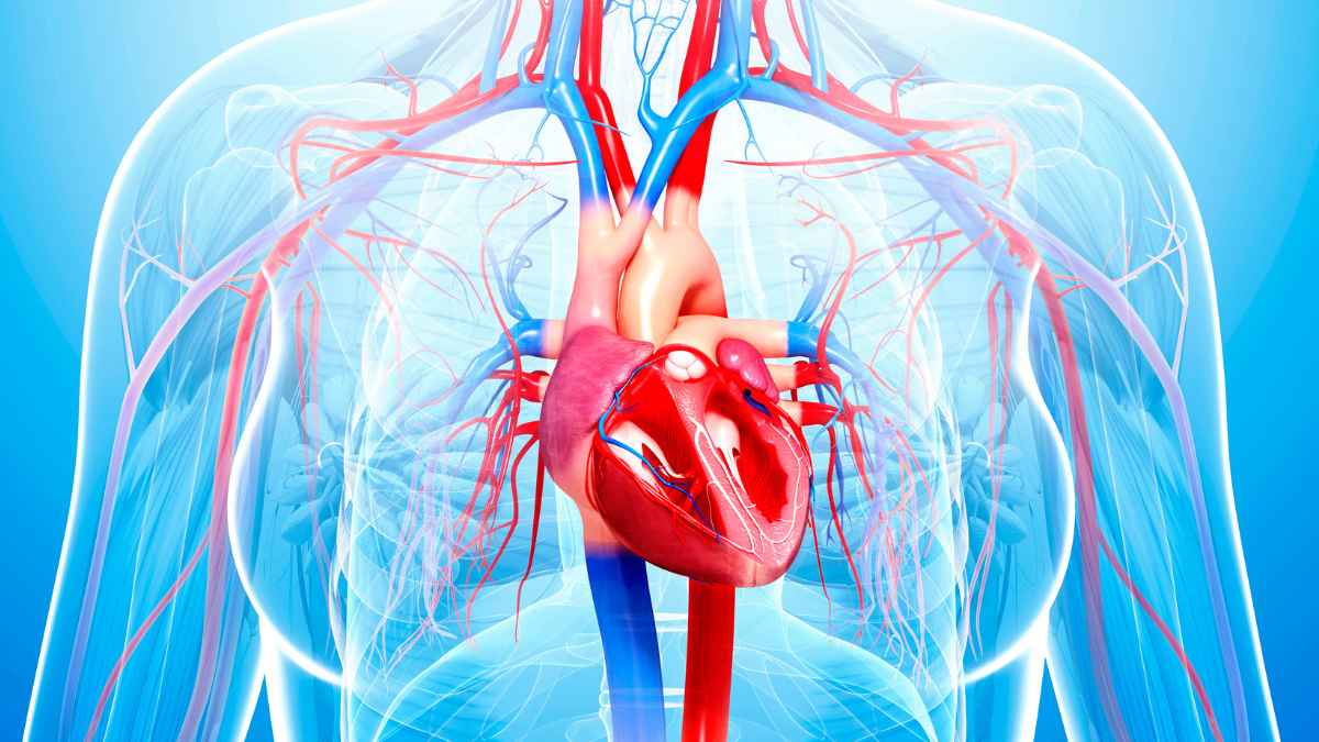 Caristo Diagnostics Selected by World