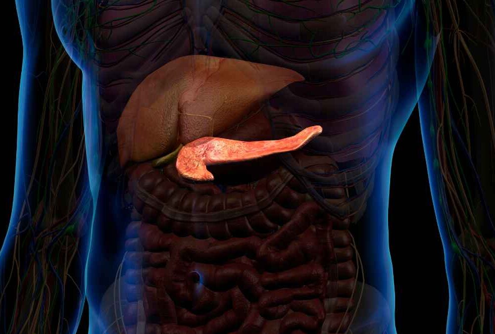 MetaVia Presents New Late-Breaking Obesity and Metabolic Data
