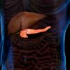 MetaVia Presents New Late-Breaking Obesity and Metabolic Data