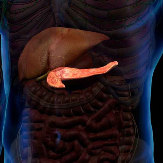 MetaVia Presents New Late-Breaking Obesity and Metabolic Data