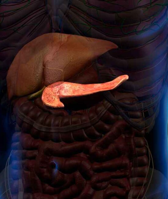 MetaVia Presents New Late-Breaking Obesity and Metabolic Data