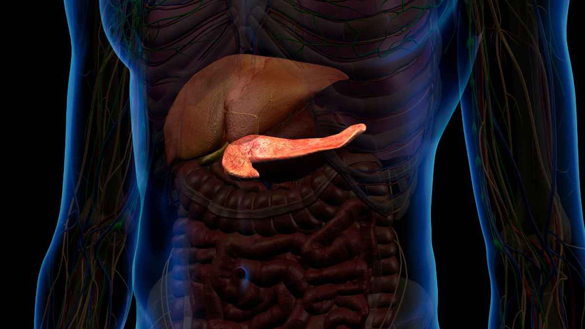 MetaVia Presents New Late-Breaking Obesity and Metabolic Data