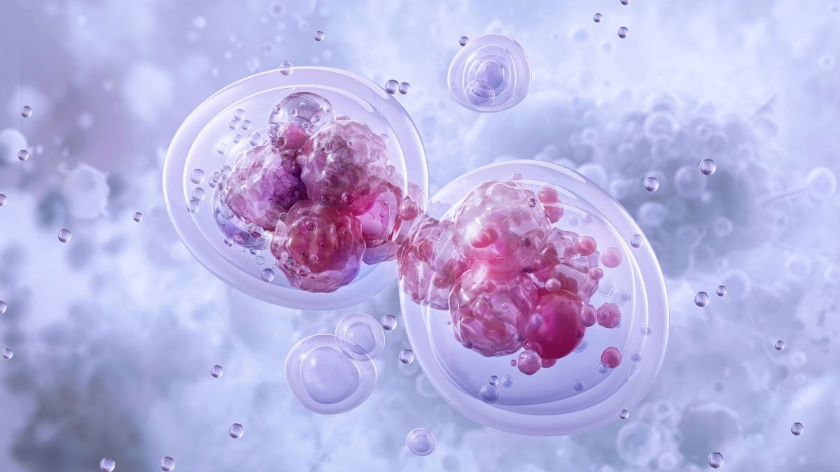 Evoworks Bio Selected for