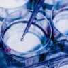 IntelliGenome Appoints ILEX