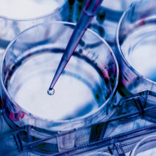 IntelliGenome Appoints ILEX