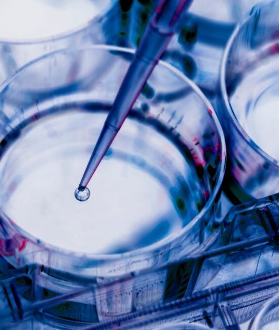 IntelliGenome Appoints ILEX