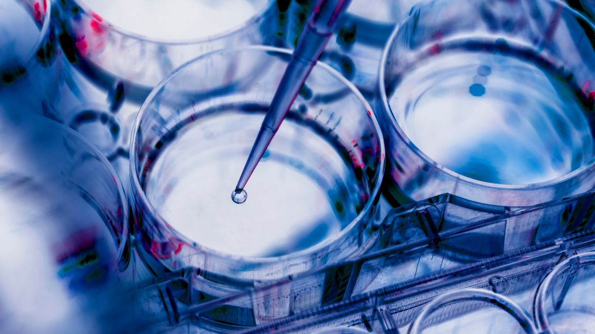 IntelliGenome Appoints ILEX
