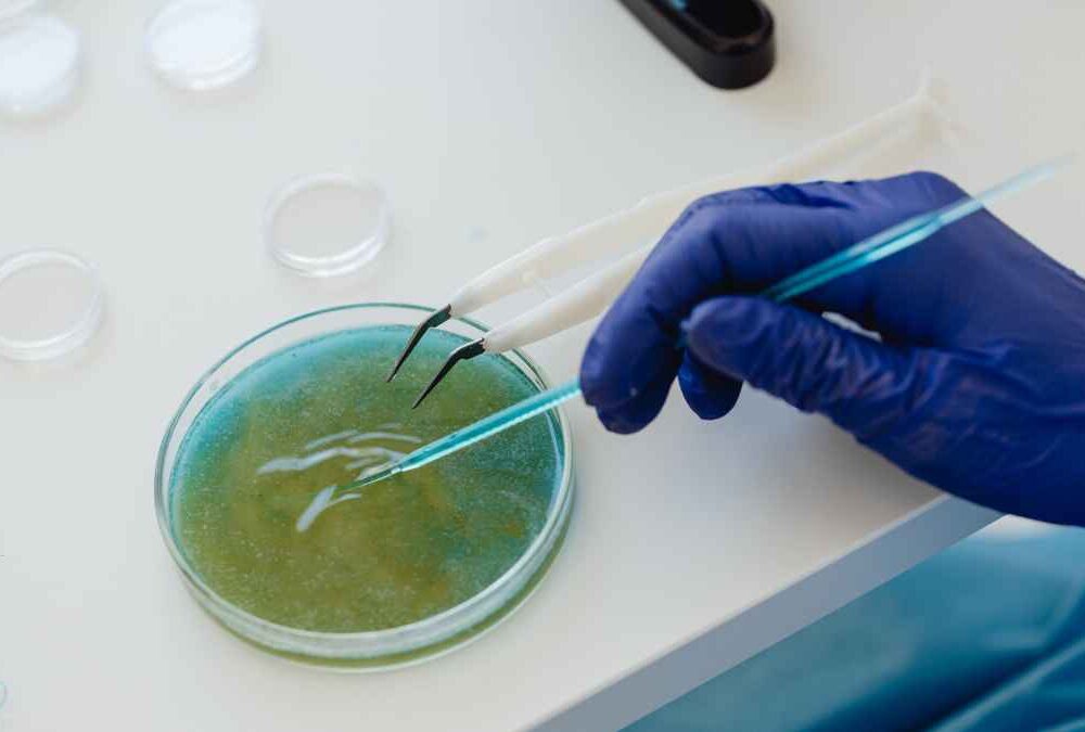 New Nature Biotechnology Article
