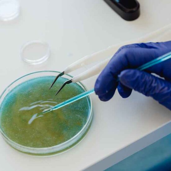 New Nature Biotechnology Article