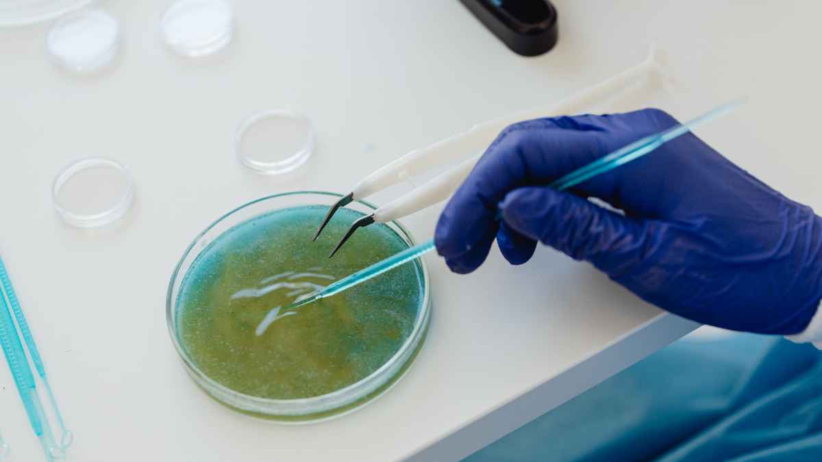 New Nature Biotechnology Article