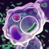 Polpharma Biologics Announces FDA