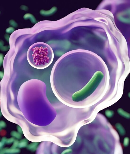 Polpharma Biologics Announces FDA