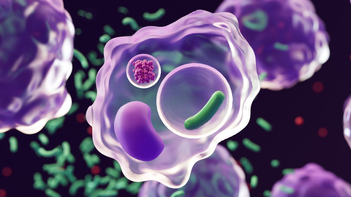 Polpharma Biologics Announces FDA