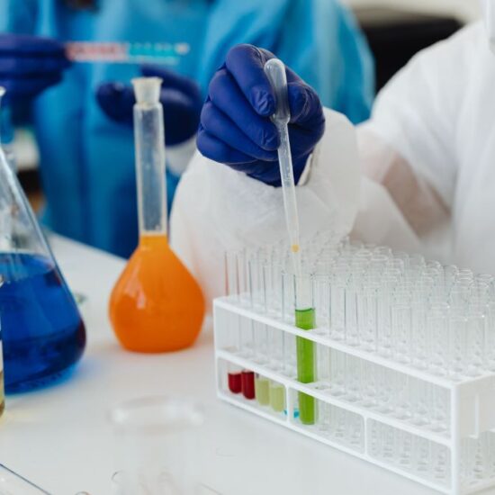 Seoul National University of Science and Technology Researchers