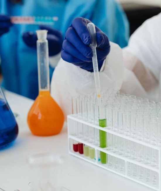 Seoul National University of Science and Technology Researchers