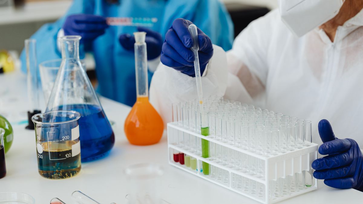 Seoul National University of Science and Technology Researchers